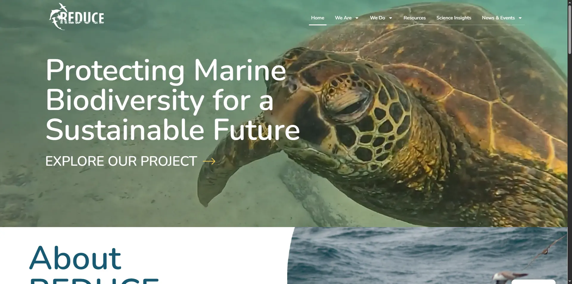 reducebycatch